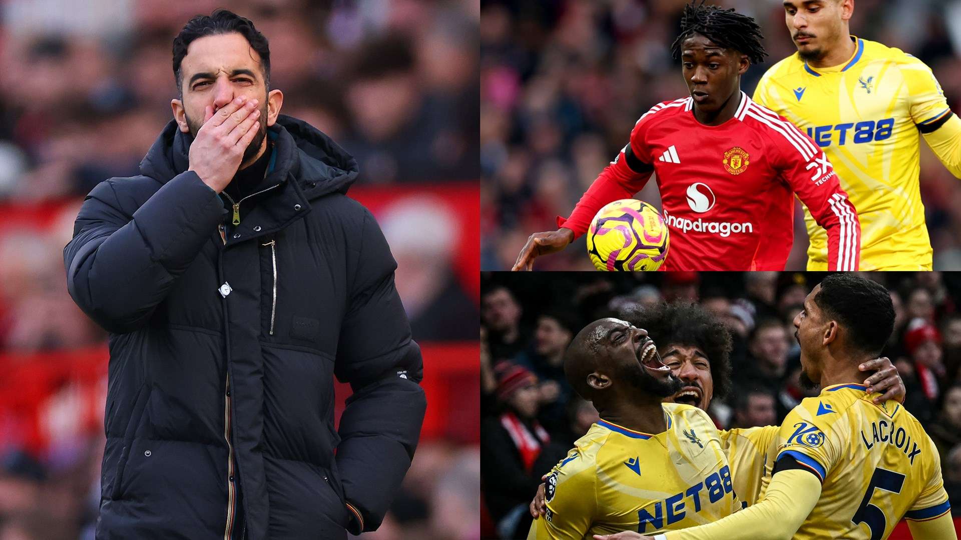 国内青训体 国内青训体